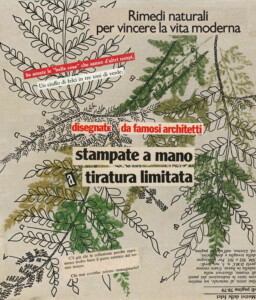Rammendi, rammenti-Nadia Tamanini.jpg