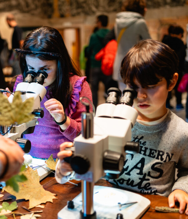 Diventare esperti: come funziona il Learning in Depth